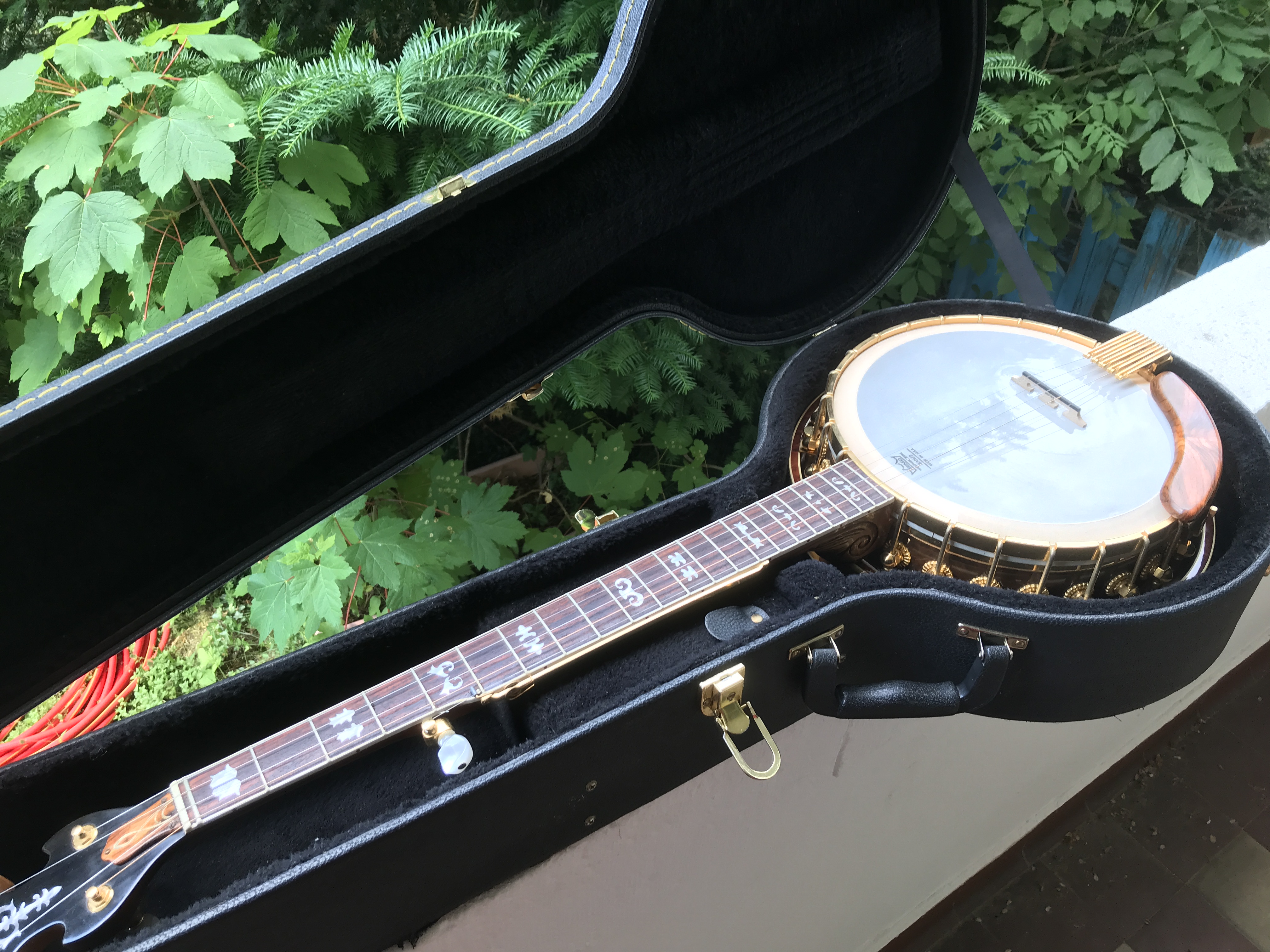 ALBUM: Framus Nashville Custom Made Banjo